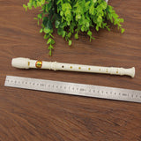 1pc Long Flute Instrument for Children